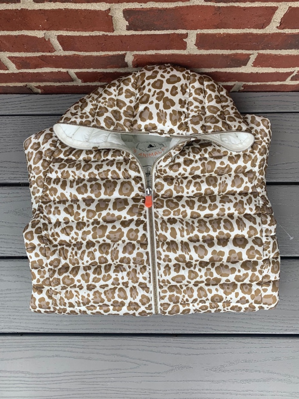 Save The Duck Dony Hooded Puffer Jacket